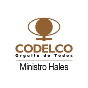 División estratégica de Codelco cercana a Calama. Se desarrollan montajes y obras civiles de alta complejidad para sus procesos de tostación y concentración de cobre.